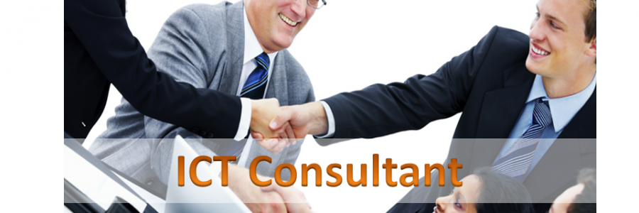 ICT Consultant